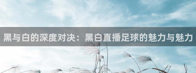 说球帝官网下载